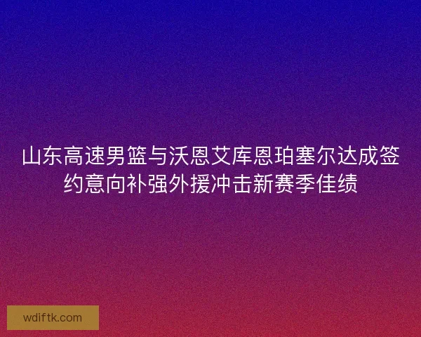 山东高速男篮与沃恩艾库恩珀塞尔达成签约意向补强外援冲击新赛季佳绩